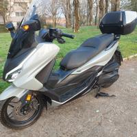 Honda forza deluxe 350