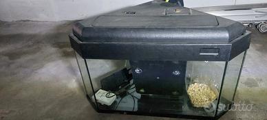 acquario