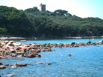 Punta Ala fronte mare