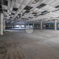 NEGOZIO A GUARDAMIGLIO