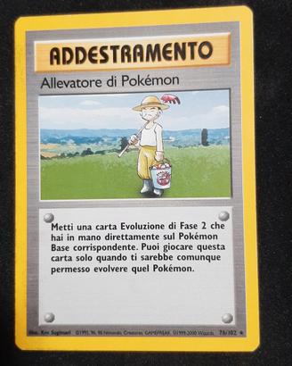 Allevatore di Pokemon bs 76
