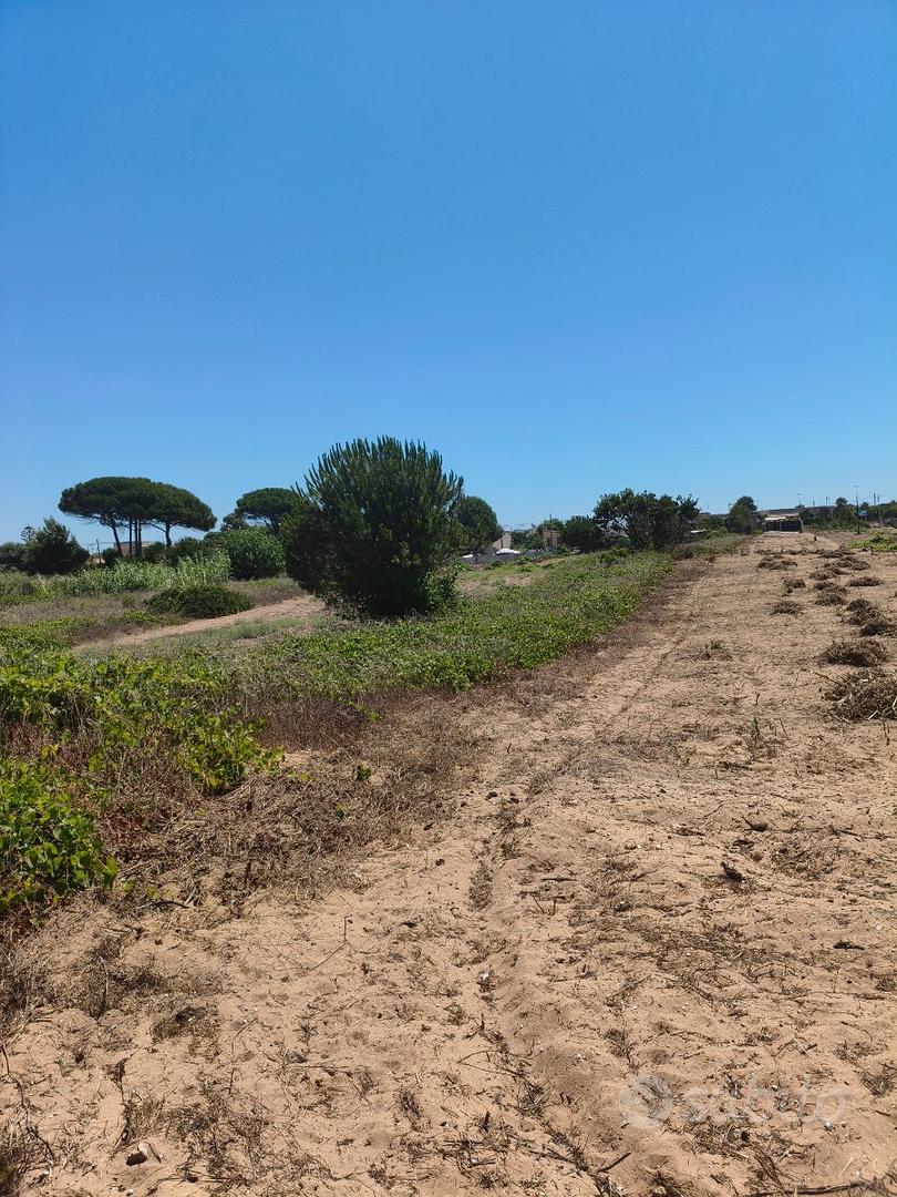 Tre Fontane rustico + 1600mq di terreno agricolo - Vista 3