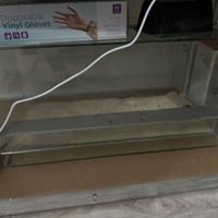 Terrario in vetro rettili