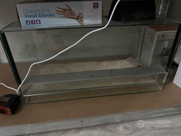 Terrario in vetro rettili