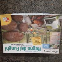 GIOCO REGNO DEI FUNGHI