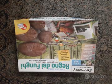 GIOCO REGNO DEI FUNGHI