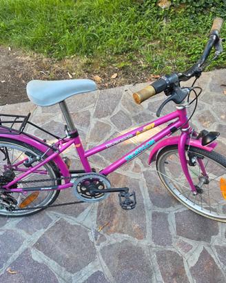 Bicicletta da ragazza con portapacchi