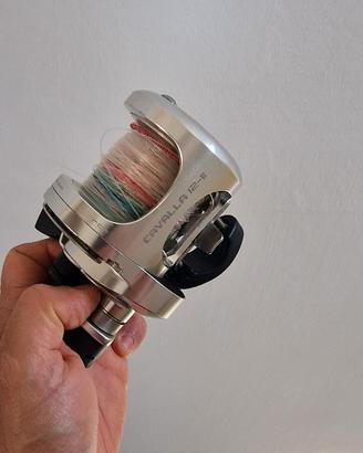 okuma cavalla