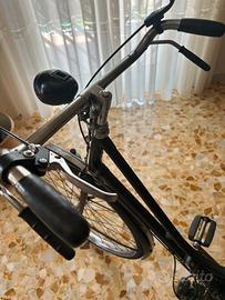 Mosquito garelli