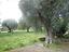 Immagine 29