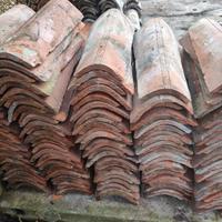 Coppi Antichi "La Tegolaia" Treviso