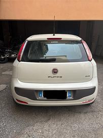 Fiat punto Evo