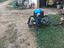 Immagine 2