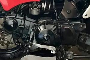 motore pit bike 4 marcie 