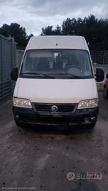 FIAT DUCATO 2.8 TRASPORTO DISABILI