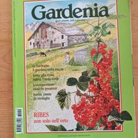 Rivista Gardenia n.159 luglio 1997 giardinaggio