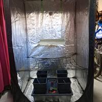 growbox per coltivazione idroponica 