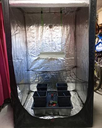 growbox per coltivazione idroponica 