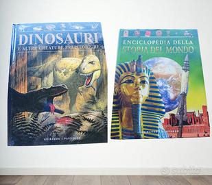 Set di due libri per ragazzi e bambini su dinosaur