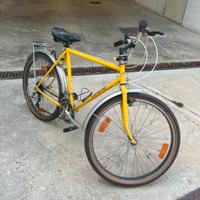 Mountain bike uomo