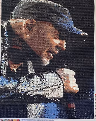 Quadro Vasco Rossi