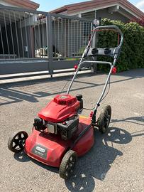 Tagliaerba Mulching/Sfalcio