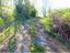 Immagine 12