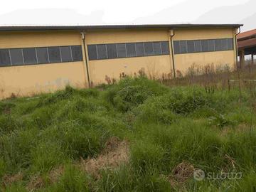 Immobile in asta di 540 m² a Reggio Emilia