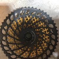 Pacco Pignoni Sram Eagle Axs  XX1 Xg 1299 10-52