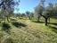 Immagine 9