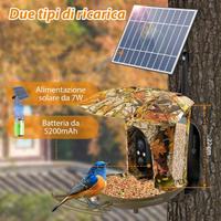  Mangiatoia intelligente per uccelli 