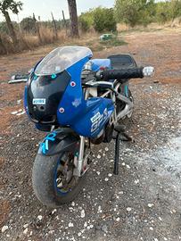 Mini moto gp3 polini