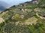 Immagine 22