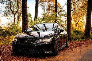 Seat Leon Cupra DSG 5F 265cv stage 2 