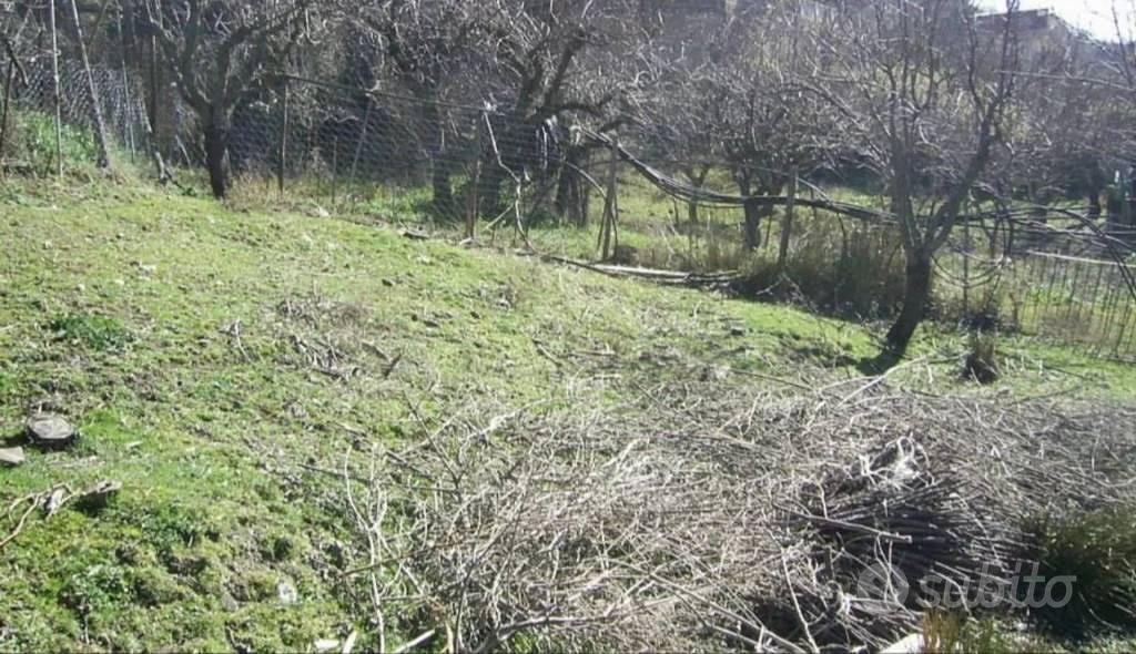 Immobile in asta di 4300 m² a Cerchiara di Calabri - Vista 3