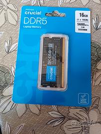 ram 16gb 