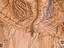 Immagine 3