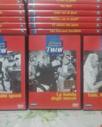 Dvd Toto
