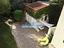 Immagine 23