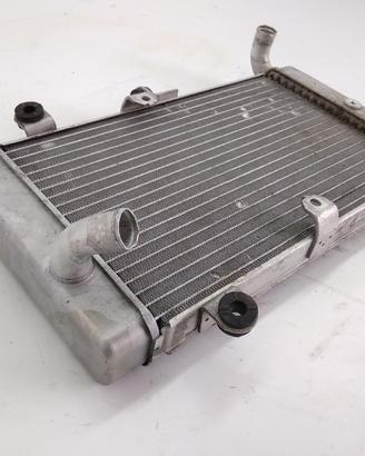 HONDA SW-T ABS 600 RADIATORE 2011 JH2PF01D2BK