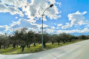 Terreno EDIFICABILE 700 mq con accesso da strada