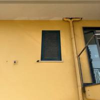 Finestre Ferro zincato Verde (N. 03 pz)