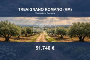 Immobile in asta di 114275 m² a Trevignano Romano