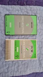 DOPPIA CARD  KORG XSC-2S  x  Korg 01/W  01/WFD  OR