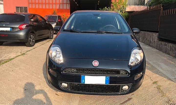 Fiat Punto 1.2 8V 5 porte Street