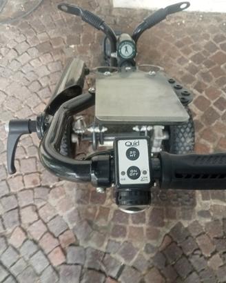 carrello da golf quid