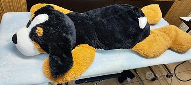 Peluche Cane Bernese grande e morbido