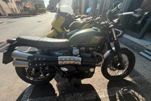 Triumph street scrambler 900