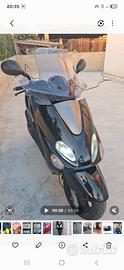 Majesty 180