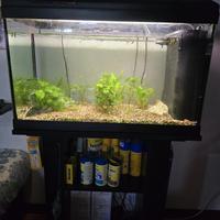 acquario 80lt con mobile 